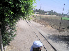 
Sugar cane railway on the West bank of the Nile, Luxor, June 2010